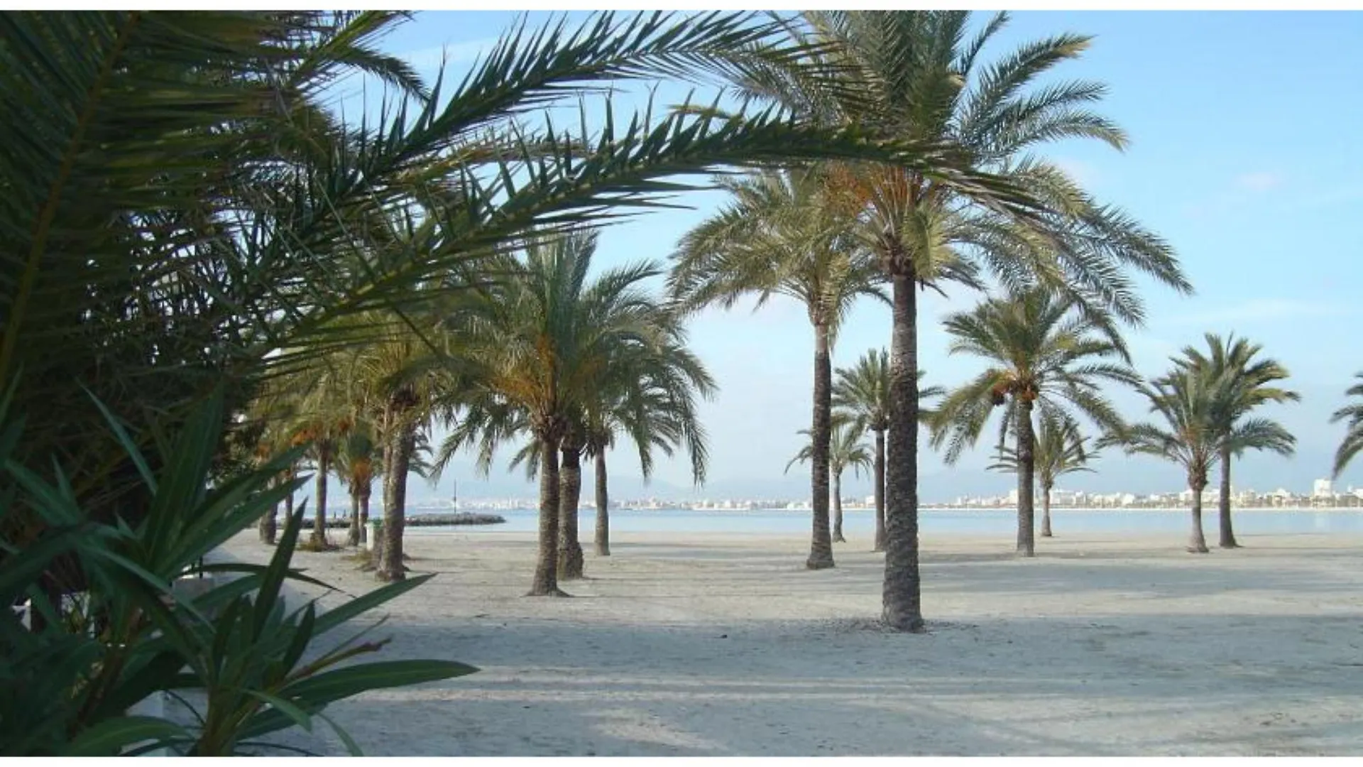 ***  Bluesea Mediodia Hotel El Arenal  Spain